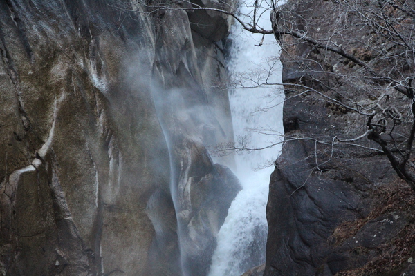 �ߤξ��綮����ծ��ο���/�����Ƥ������ǡ����١���