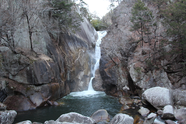 �ߤξ��綮����ծ���/�����Ƥ������ǡ����١���