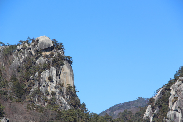 �ߤξ��綮���Ķ����γб�����/�����Ƥ������ǡ����١���