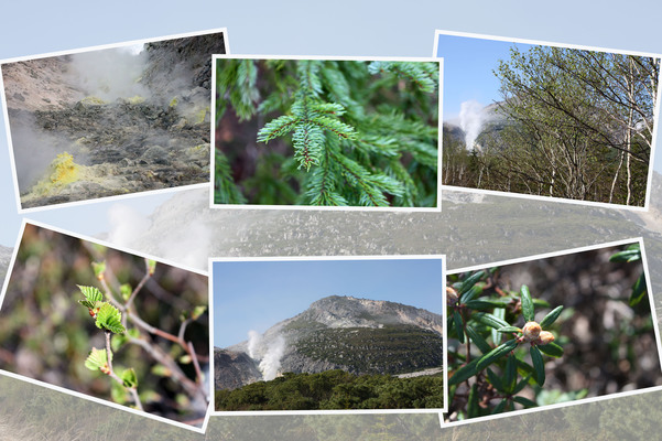 春若葉期の「川湯温泉と硫黄山」/癒し憩い画像データベース
