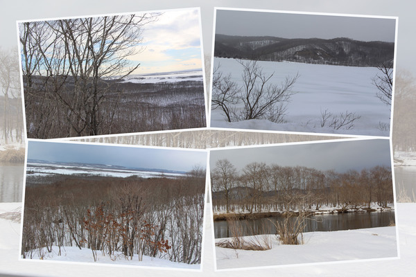 積雪期の釧路湿原「原生林と川縁の風情」