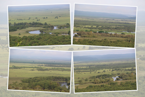深緑期の釧路湿原「湿原の中を蛇行する川」