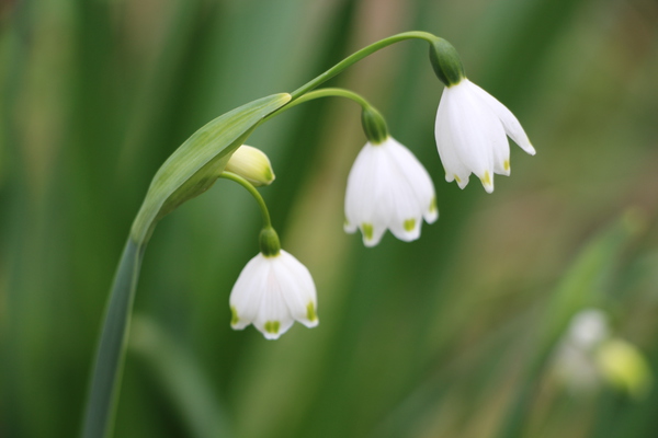 ���Ρ��ե졼��/�����Ƥ������ǡ����١���