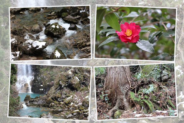 冬積雪期の「奈曽の白滝（白瀑谷）からの渓流と森」/癒し憩い画像データベース