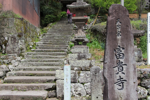 春の富貴寺「参道と石段」