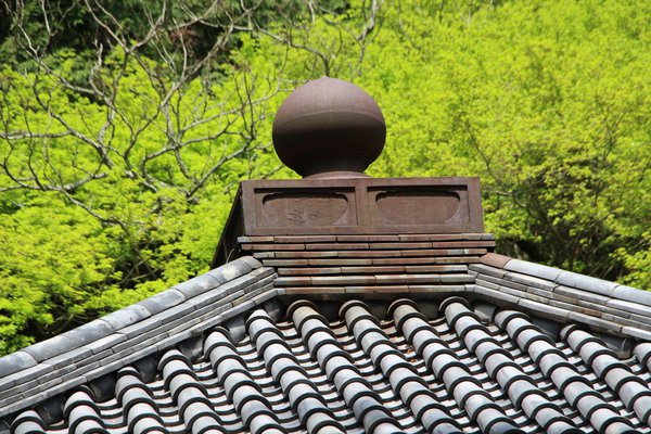 春の富貴寺「大堂の屋根」
