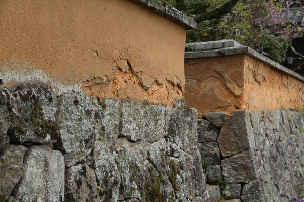 春の富貴寺「土塀と石垣」