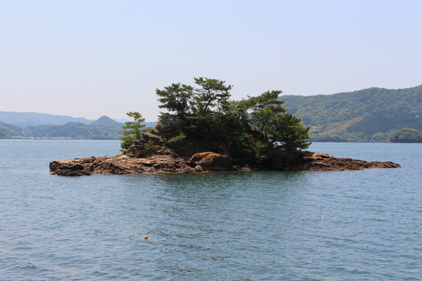 岩の小島と松の木たち