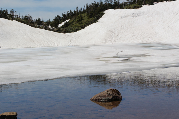 դȬȨʿϤƤ椯ɹξ¡/Ƥǡ١