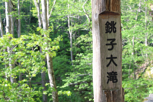 春の「銚子大滝」標識