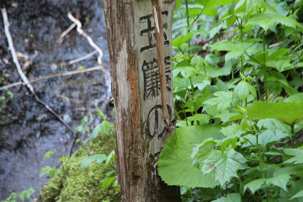 春の奥入瀬「玉簾の滝」標識