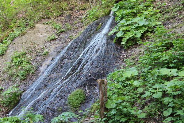春の奥入瀬「玉簾の滝」