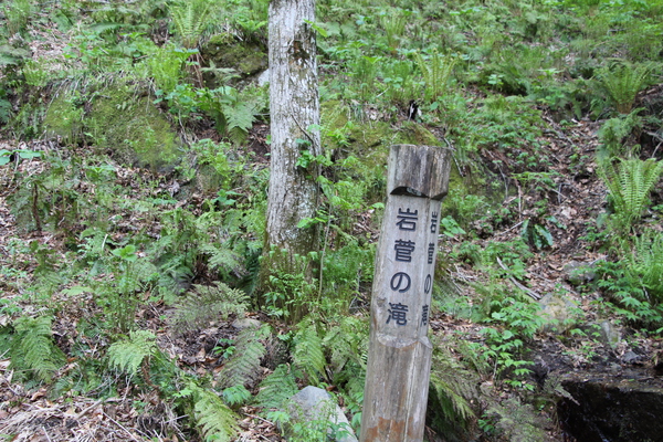 春・新緑期の奥入瀬渓流「岩菅の滝」標識