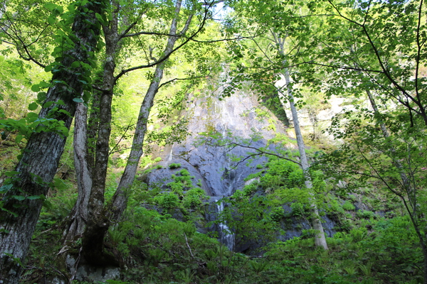 春の奥入瀬渓流「岩菅の滝」