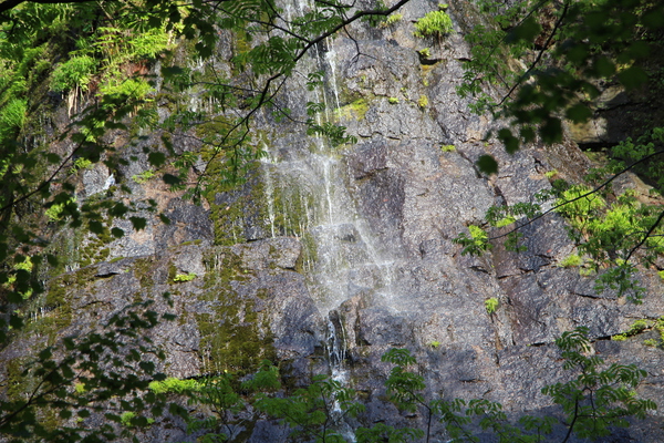 春の奥入瀬「岩菅の滝」