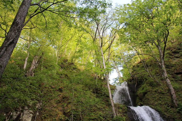 春・新緑期の奥入瀬渓流「雲井の滝」滝口
