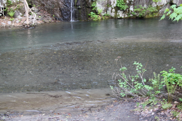 春・新緑期の奥入瀬渓流「幅広い穏やかな流れ」
