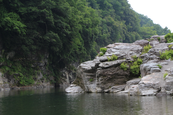 夏の長瀞渓谷「結晶片岩の岩場と森」/癒し憩い画像データベース