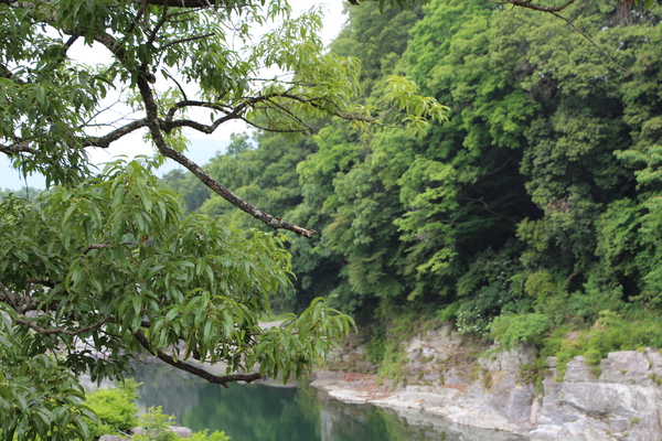 夏の長瀞「川渕の森」/癒し憩い画像データベース