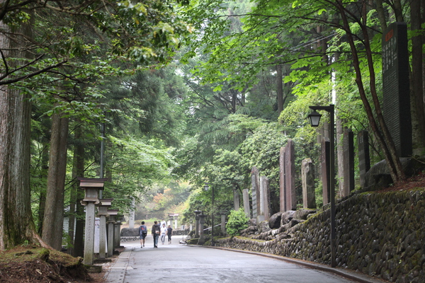 新緑期の秩父「三峯神社の参道」