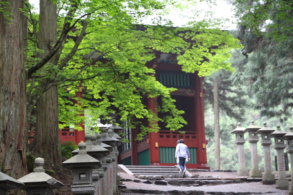 秩父・三峯神社「新緑と随身門」