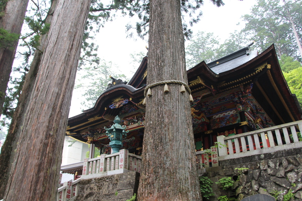秩父「三峯神社」の「神木と拝殿」/癒し憩い画像データベース