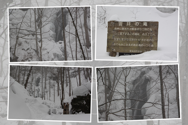 冬・積雪期の奥入瀬渓流「雲井の滝」