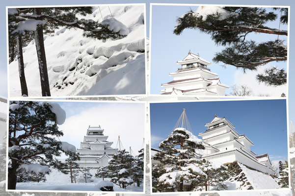 冬の会津若松城「松と天守閣」