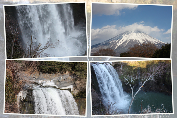 冬の富士山麓「冬木立と音止の滝」