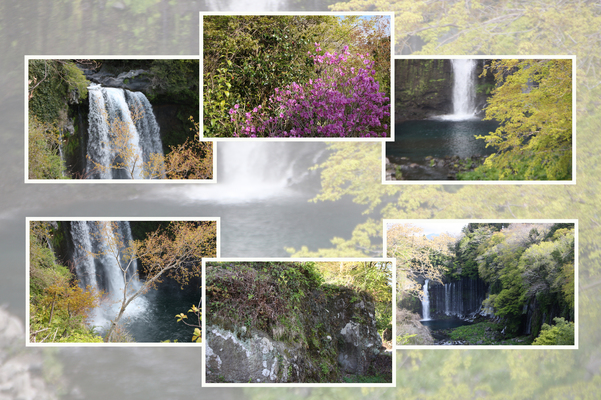 春・新緑期の「白糸の滝」と「音止の滝」