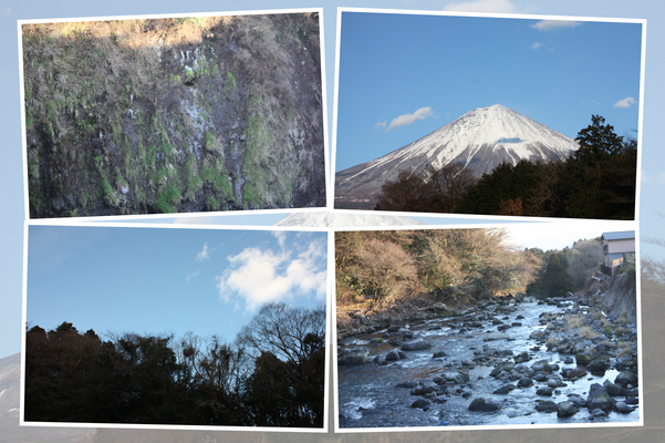冬の富士山麓の「白糸の滝・音止の滝」周辺