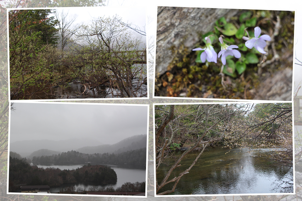 春の奥日光「湯ノ湖」/癒し憩い画像データベース