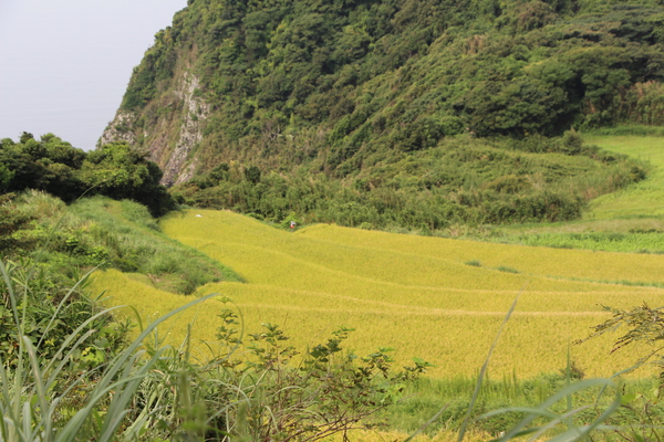 �齩��Ĺ�硦��ë��ê�Ĥΰ����/�����Ƥ������ǡ����١���