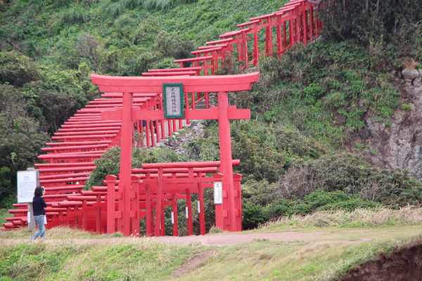 山腹に這いあがる「元乃隅稲荷神社の鳥居群」