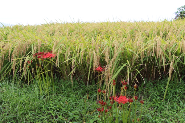 ������Ĺ������Ȫ�ΰ������߲֡�/�����Ƥ������ǡ����١���