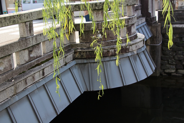 城崎温泉「王橋と柳」/癒し憩い画像データベース