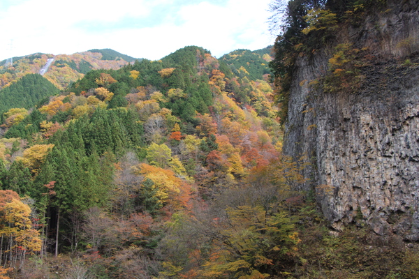 秋の下呂「巌立峡の森」