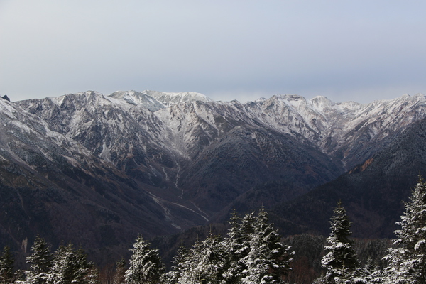 ⻳̥ץλ¤ߡ/Ƥǡ١