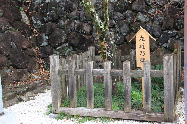 ܡ/ĿҤκǵ̡/Ƥǡ١