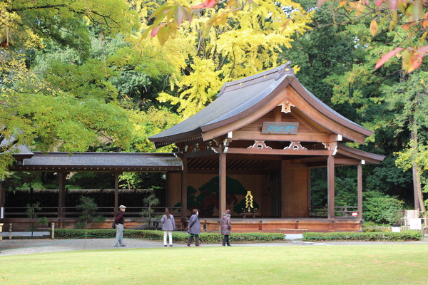 ιܡĿҡֹǽ¡/Ƥǡ١