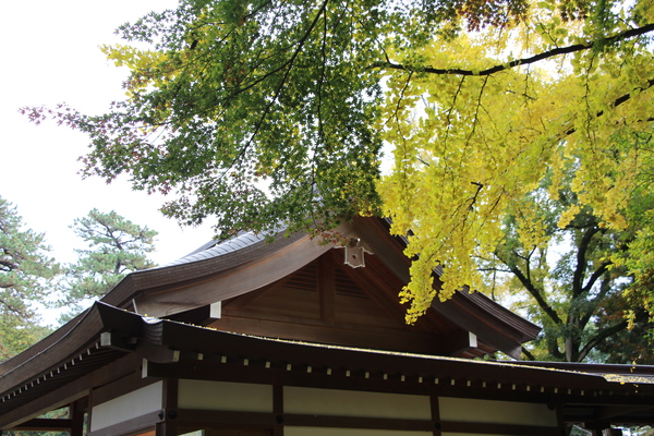 ǽ¡ǽˡֲȲա/Ƥǡ١