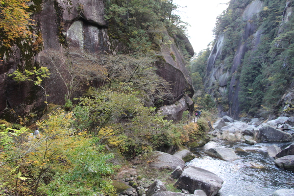 峡谷と渓流の秋