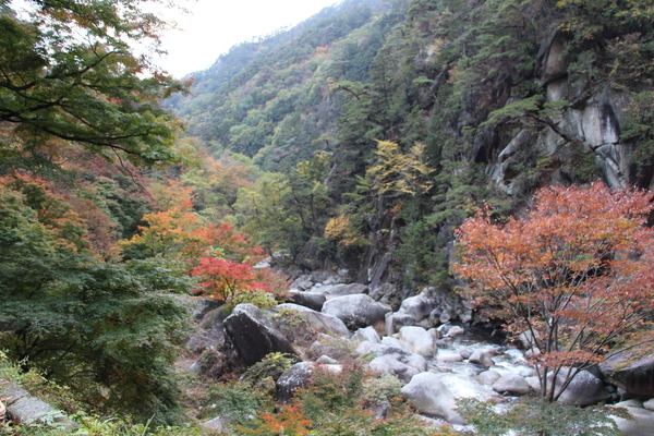 秋景色の峡谷と渓流
