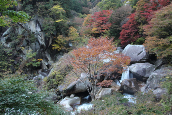 巨石と彩の葉/癒し憩い画像データベース