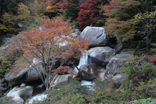渓谷の岩と紅葉