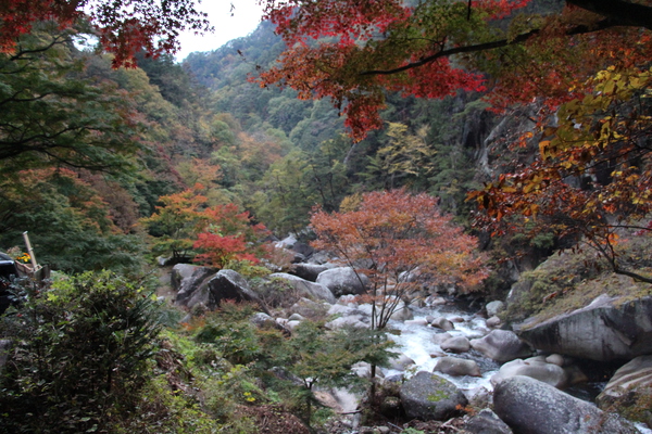 渓谷と渓流の秋