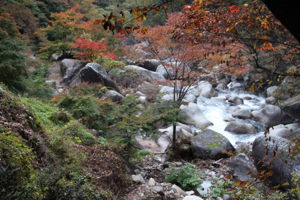峡谷と渓流の秋