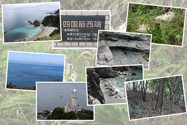 夏の四国最西端「佐田岬と周辺」