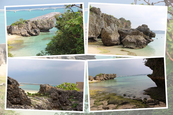 沖縄・古宇利島の「青い海岸とサンゴ礁」