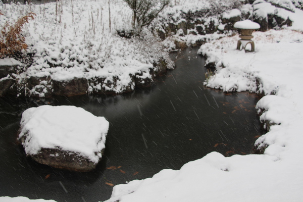 多久聖廟公園「積雪の池端と岩」